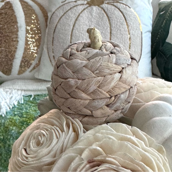 NEW! Pumpkin & Flowers Designer White Pumpkin - Picture 11 of 14
